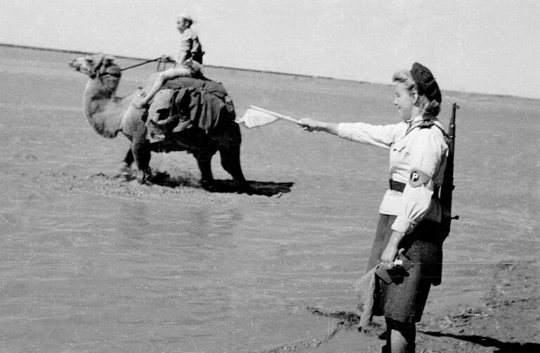 Через пустыню и хребты. Как союзники сокрушили Квантунскую армию