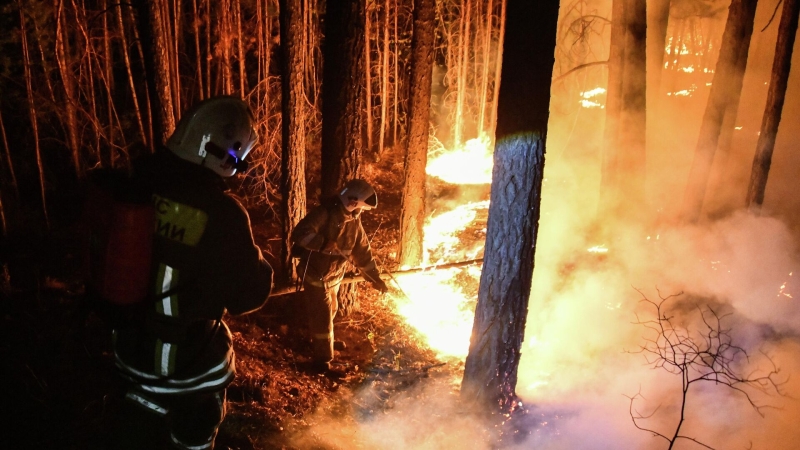 Губернатор Забайкалья рассказал о масштабных лесных пожарах