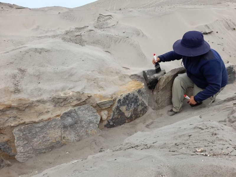 "Кровожаднее инков". Артефакты из Перу поставили ученых в тупик