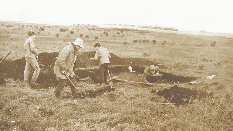 Куликовская битва: причины, факты и историческое значение