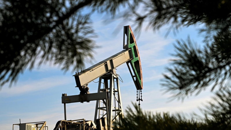 Минэкономразвития ожидает роста экспорта нефтепродуктов в 2026 году на 2,8%
