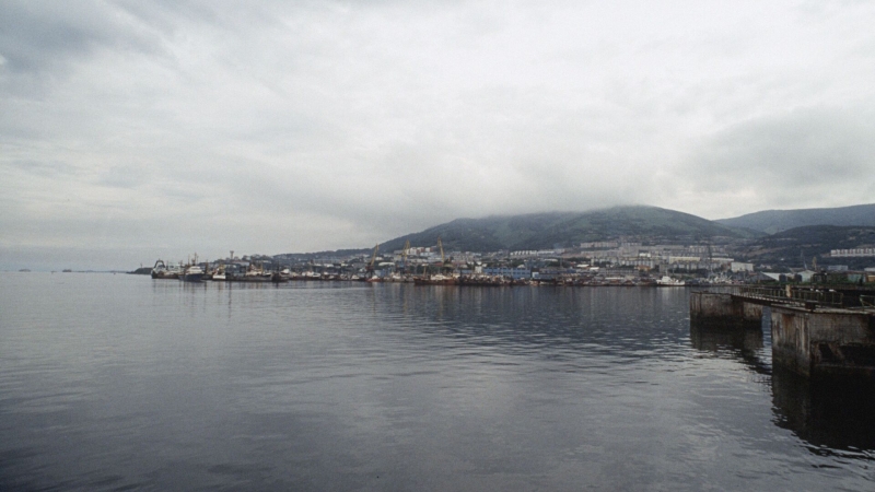 Морепродукты из Авачинской губы опасны для жизни, заявили ученые