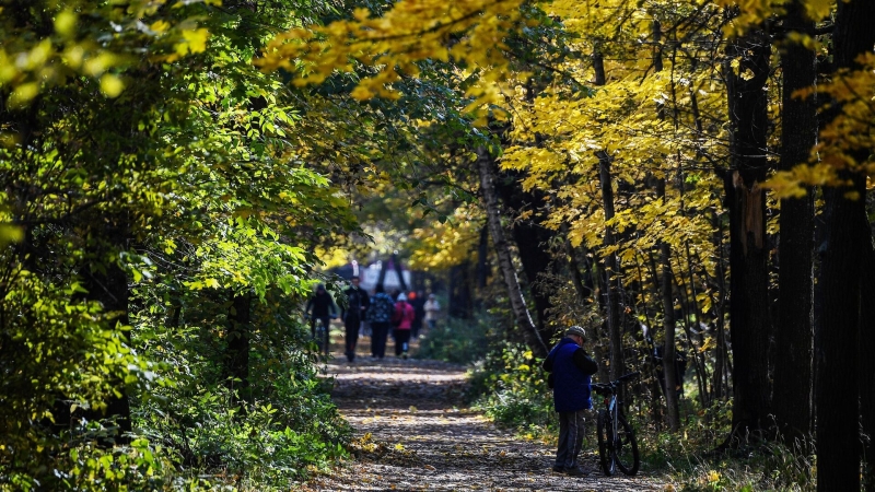 Москвичам рассказали о погоде в понедельник