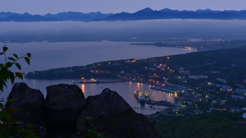 На Камчатке назвали причину нападения медведя на пенсионерку