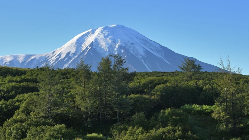 На Камчатке за сутки зарегистрировали 14 афтершоков