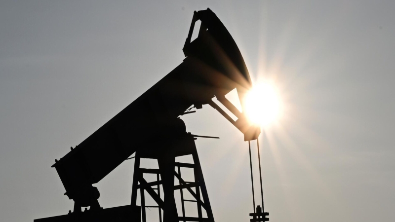 На TNF представили исследование рынка труда в нефтегазовой отрасли