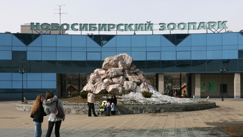 Новосибирский зоопарк возобновит работу после пожара