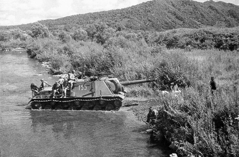 Победа, запечатленная на фото. Последний аккорд Великой войны