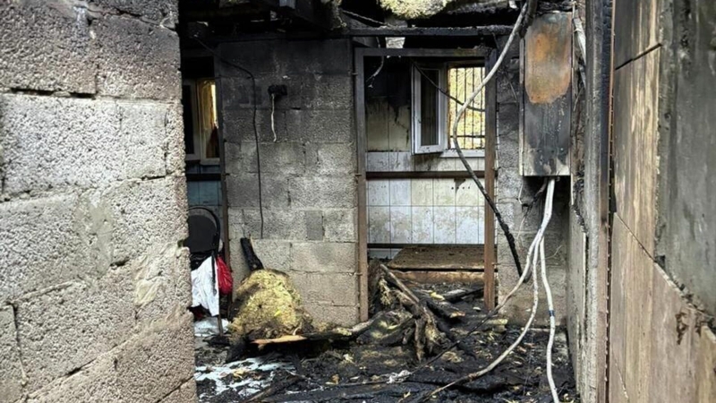 При пожаре в приюте на севере Москвы погибли 13 собак