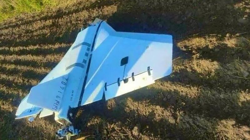 "Русский с палкой". Журналист высмеял ЕС из-за инцидента в Польше