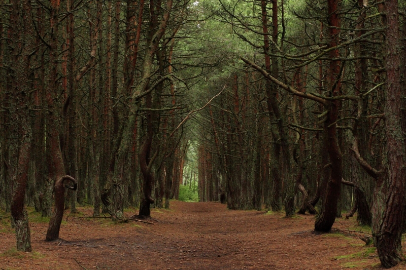 Самые удивительные места России: открываем секреты в День туризма