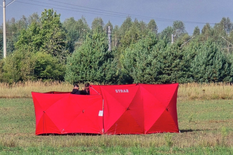 Сбитые над Польшей дроны влетели со стороны Украины, заявил Ордаш