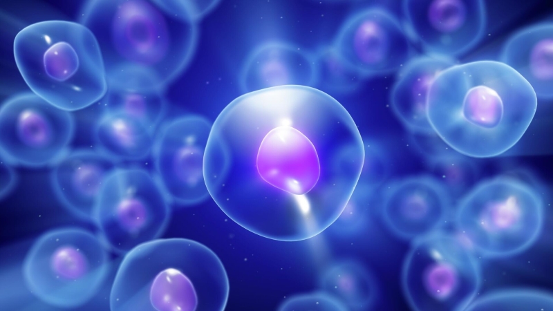 Сибирские ученые сделали открытие для успешного ЭКО