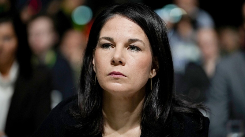 СМИ: немцы сгорели от стыда из-за провалов Бербок в ООН