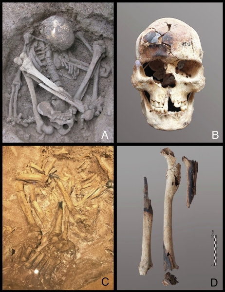 "Совершенно нетипично". Находки из Китая повергли археологов в шок