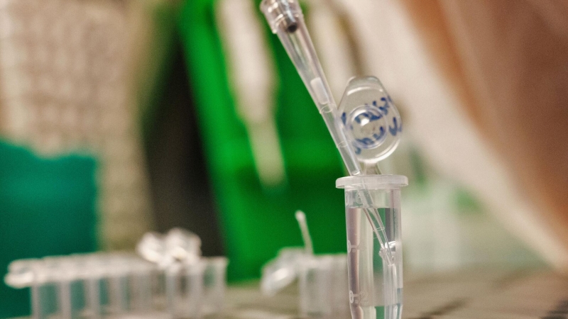 США нашли в индонезийской гвоздике следы радиоактивного загрязнения