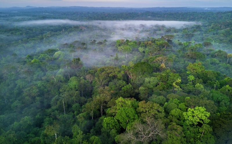 "Уникальный случай". Находка из Эквадора озадачила ученых
