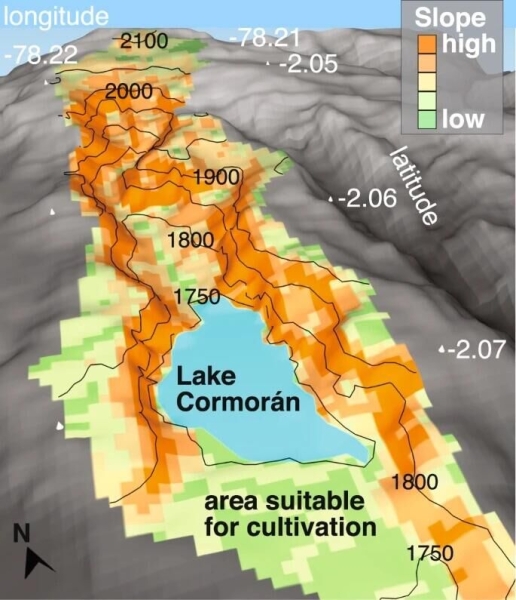 "Уникальный случай". Находка из Эквадора озадачила ученых