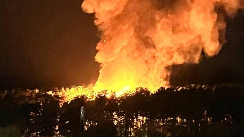 В Новосибирске при пожаре в зоопарке спасли многих животных