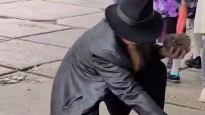 В Новосибирске задержали мужчину, жонглировавшего ежом на школьной линейке