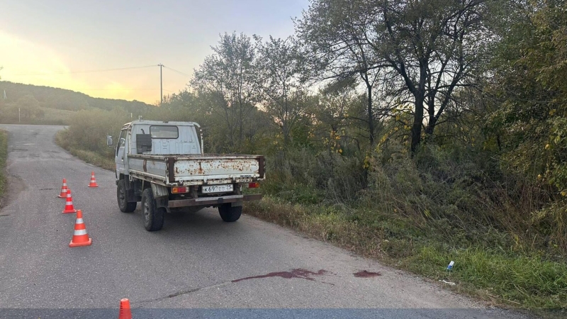 В Приморье девочка погибла, выпав на ходу из кузова грузовика