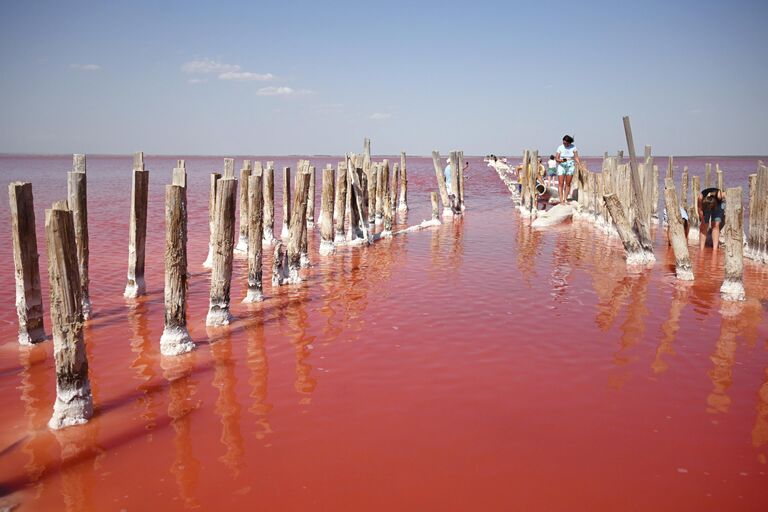 Вода меняет цвет. Как сейчас выглядят самые красивые розовые озера России