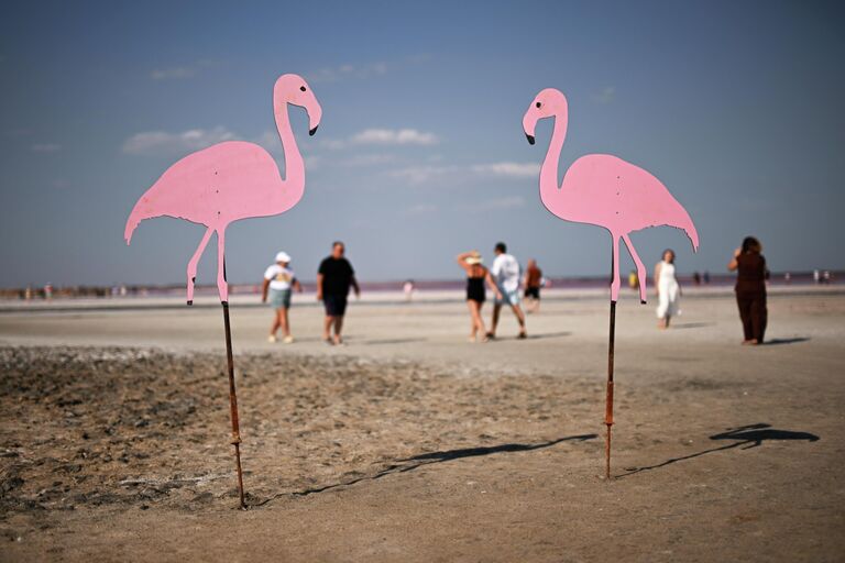 Вода меняет цвет. Как сейчас выглядят самые красивые розовые озера России