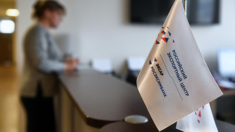 Здунов и Никишина обсудили вопросы развития экспорта Мордовии