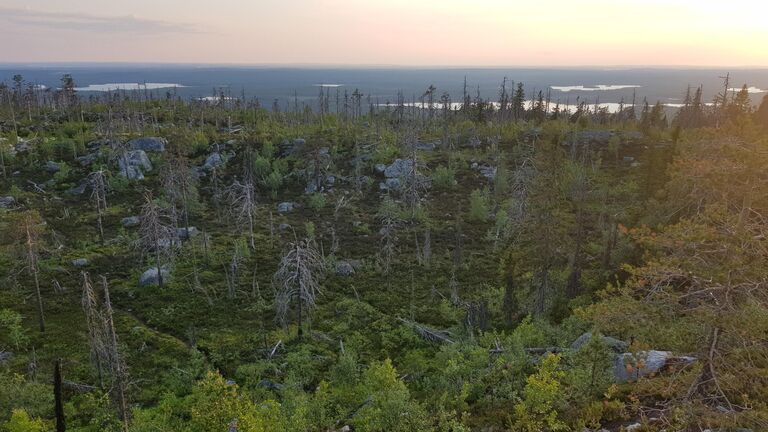 "Автопутешествия &mdash; это стильно!" Дирижер оркестра &ndash; о любимом хобби