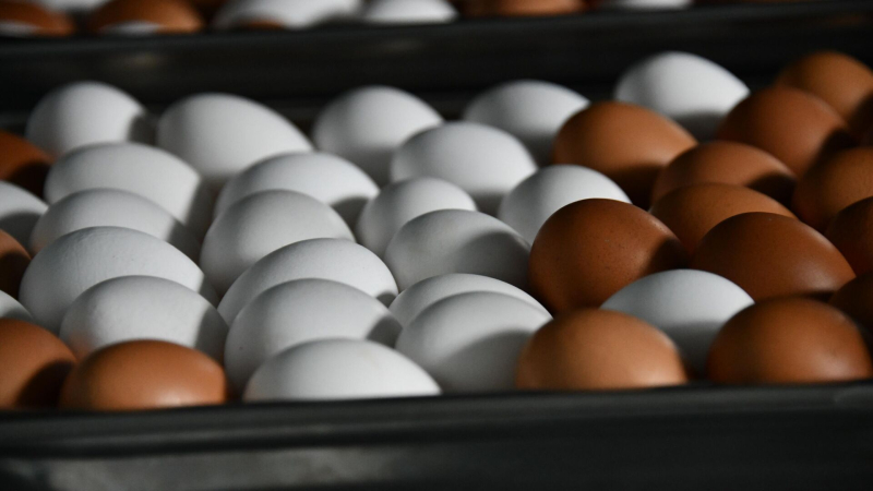 Белый дом и Калифорния встретятся в суде 23 февраля по делу о ценах на яйца