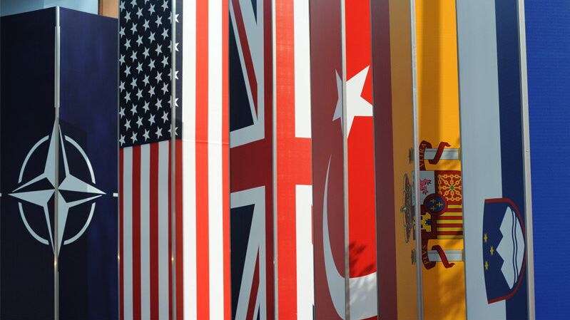 Эксперт рассказал, как аннексия Гренландии США может ослабить НАТО