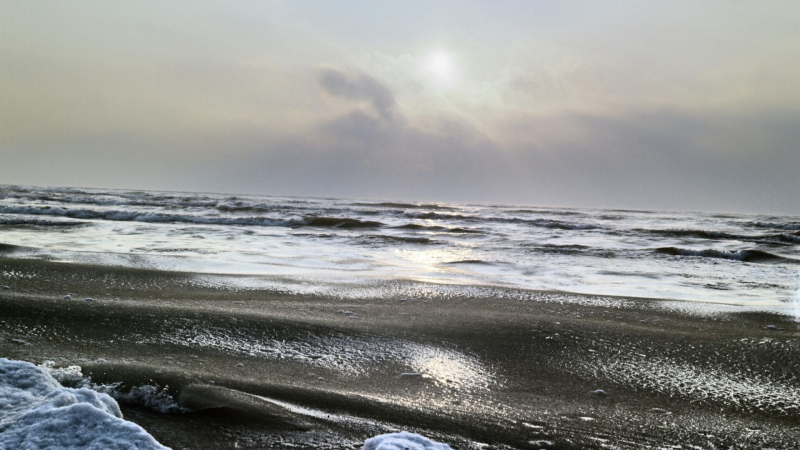 ФРГ и Дания создадут энергохаб в Балтийском море, сообщило DPA