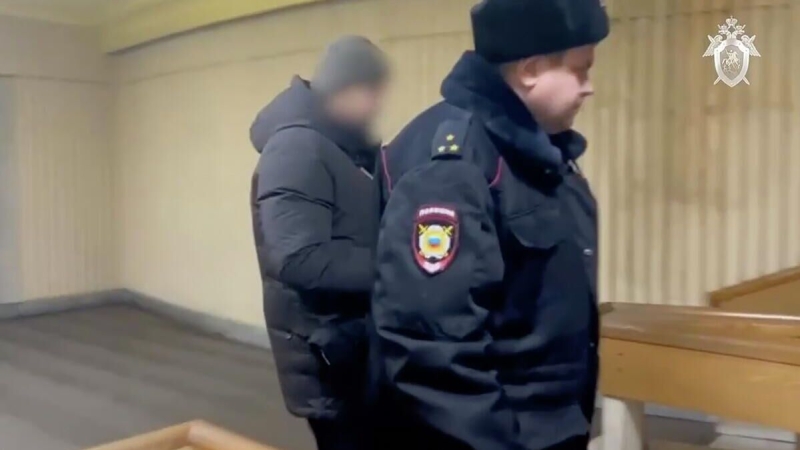 Главврач новокузнецкого роддома, где умерли дети, не признал вину