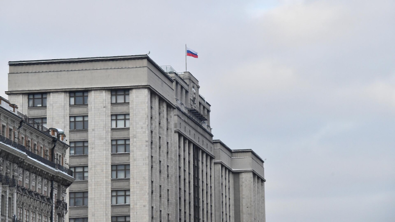 Госдума одобрила проект о запрете выдачи иностранцев, служащих в ВС России
