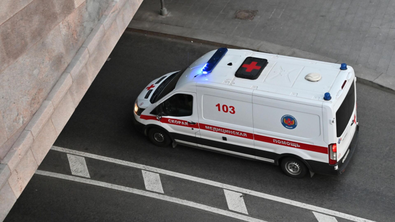 "Хуже, чем COVID". Чем опасен для России новый вирус Нипах