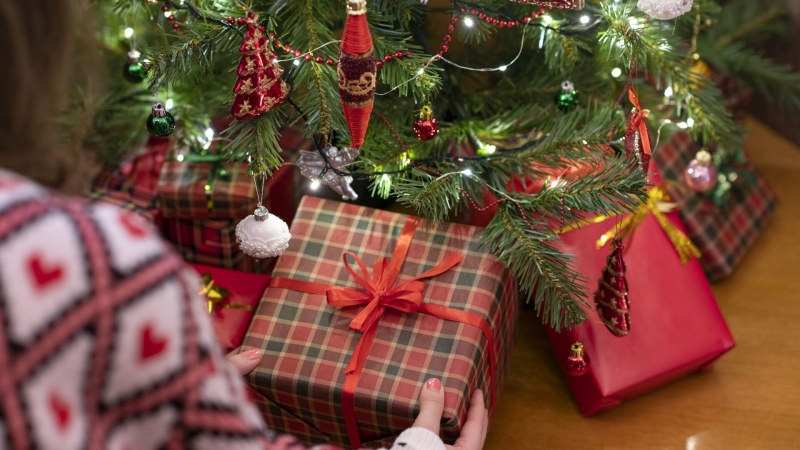 Юрист предупредила о штрафах за неправильную утилизацию новогодней елки