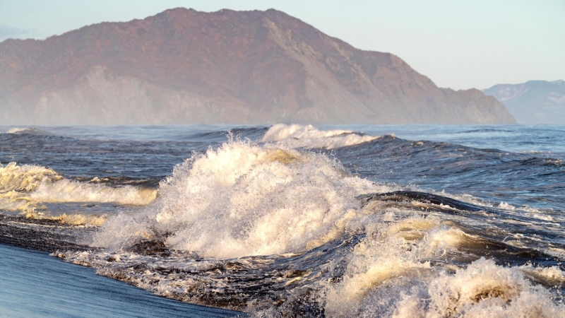 "Как на других планетах". У берегов России обнаружена необычная форма жизни