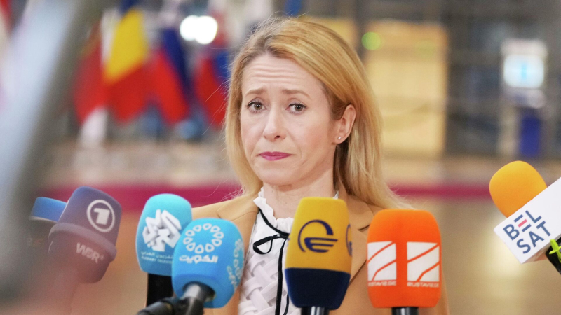 Каллас после заявлений Трампа о пошлинах забеспокоилась об Украине