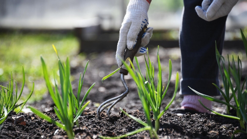 Майские праздники в 2026 году продлятся шесть дней