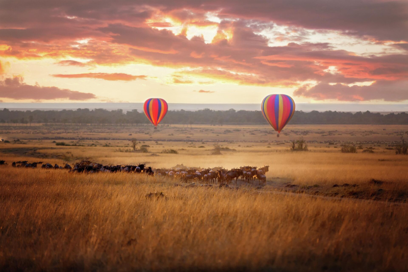 Мечтая об Африке: что и за какую цену можно посмотреть на континенте