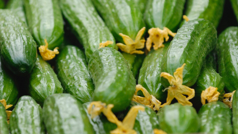 Минсельхоз рассказал о снижении цен на овощи