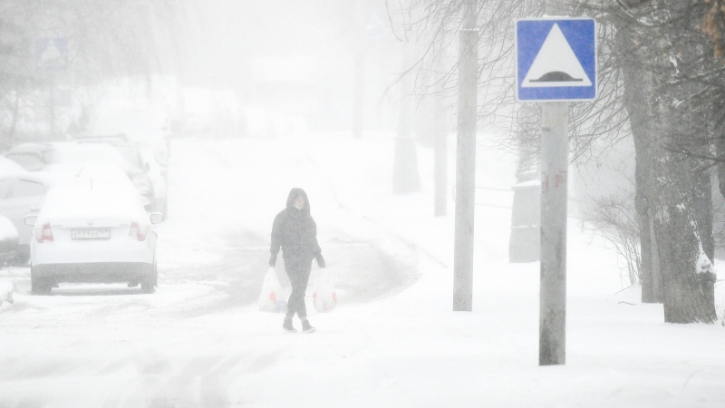 Москвичам рассказали о погоде в понедельник
