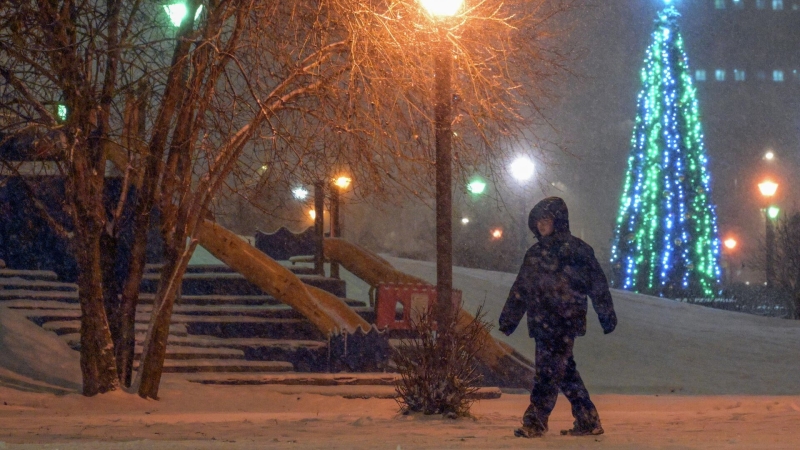 Москву накрыла вьюга