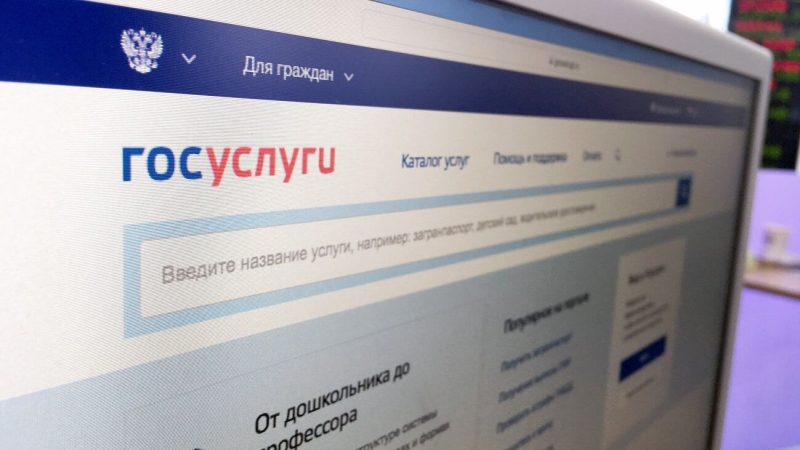 На "Госуслугах" появился реестр злостных неплательщиков алиментов