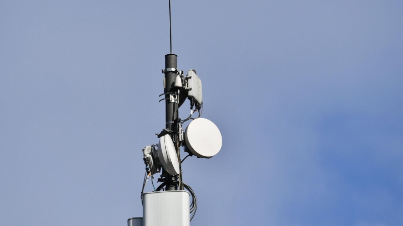 На Камчатке прорабатывают возможность снятия ограничений интернета