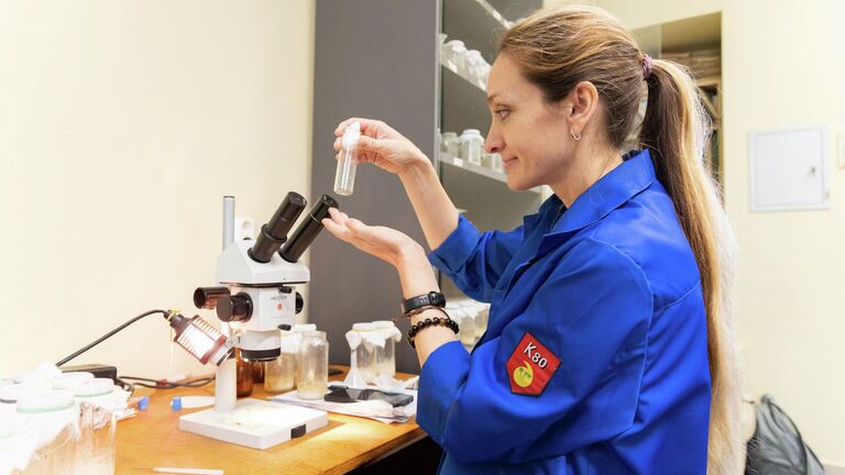 На Урале обнаружили неожиданный защитный эффект трутовых грибов