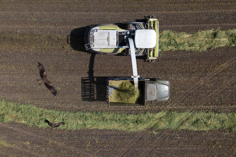 Налоги для ИП в 2025 году: какую систему налогообложения выбрать