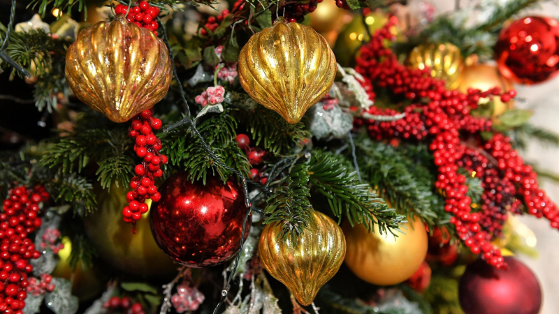 Назван безопасный способ утилизации новогодней елки