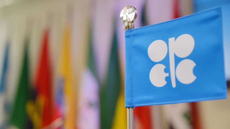 ОПЕК сохранила оценку роста нефтедобычи вне организации ОПЕК+ в 2026 году