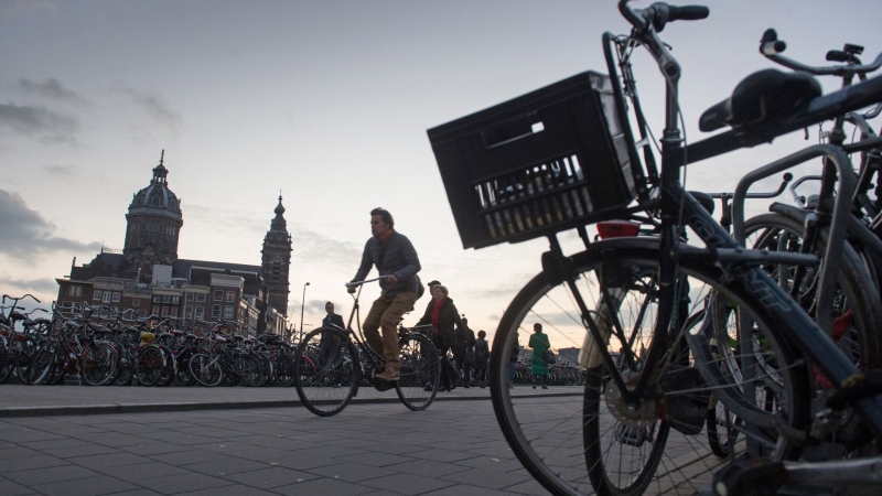 Посольство России в Гааге прокомментировало статью Telegraaf об Украине